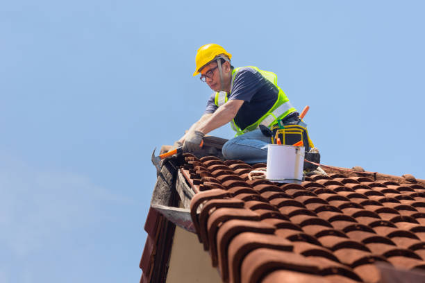 Best Roof Insulation Installation  in Sullivan City, TX